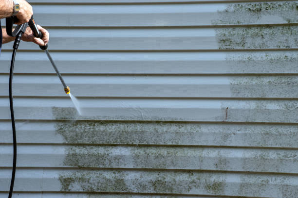 Professional Siding Services in Country Club Hills, IL